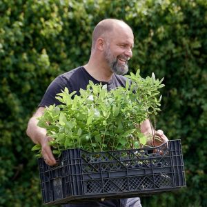 Boris Woertmann profilbillede